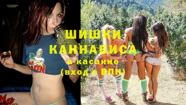 стафф Дмитров