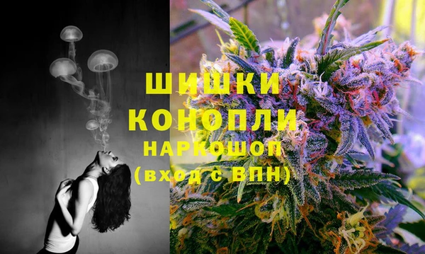 СК Дмитриев