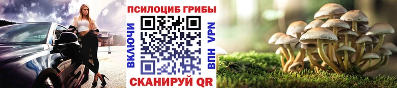 Псилоцибиновые грибы GOLDEN TEACHER Окуловка